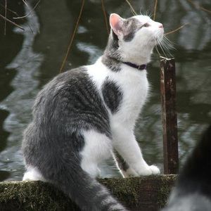 Meet your Posher, Sharon